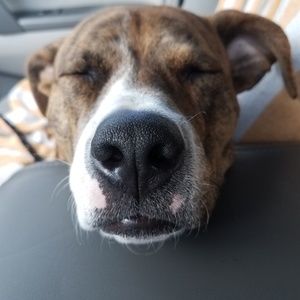 Meet your Posher, Jacqueline